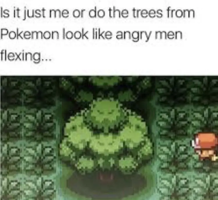 128 pokemon trees in pokemon meme