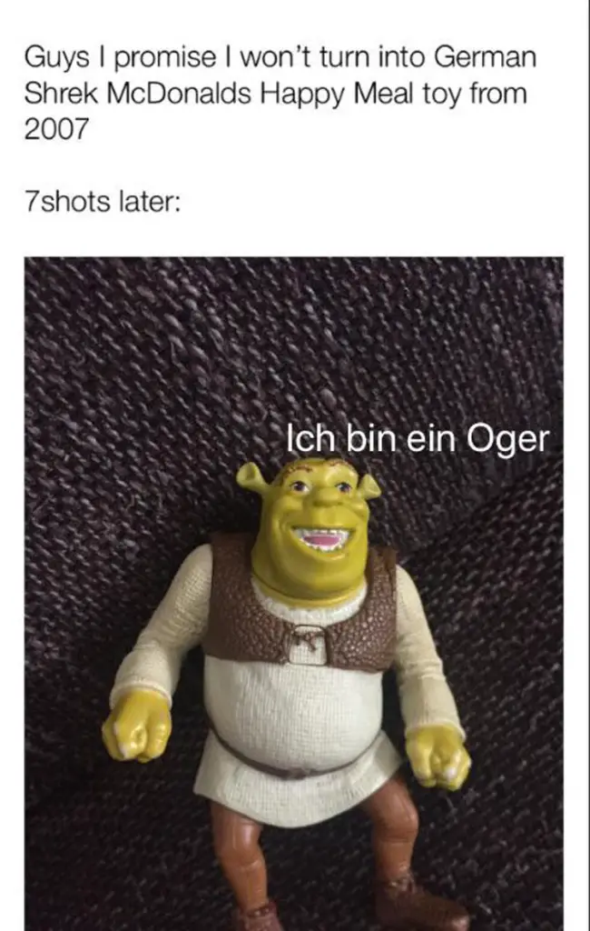 133 shrek german meme