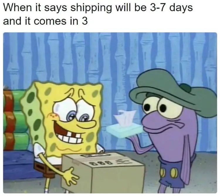 144 spongebob delivery meme