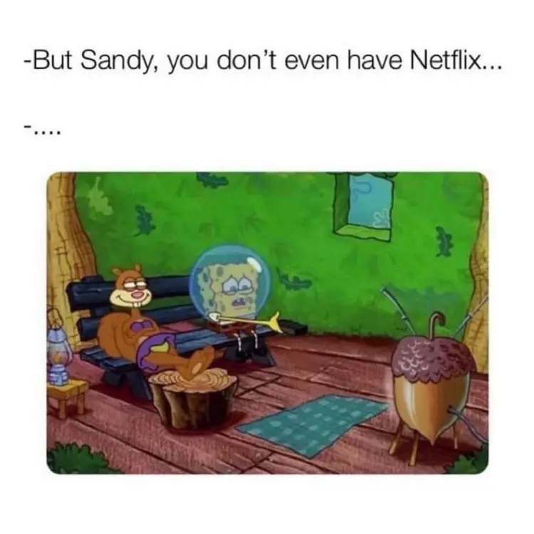 184 spongebob sandy netflix meme