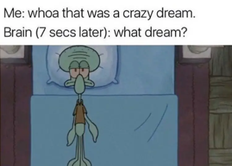 205 spongebob dream meme