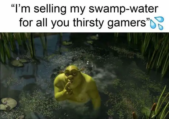 Shrek Meme 15
