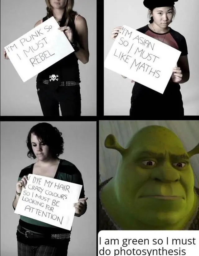 Shrek Meme 19