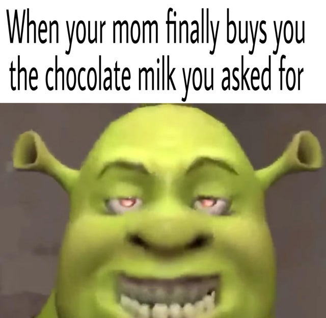 Shrek Meme 23