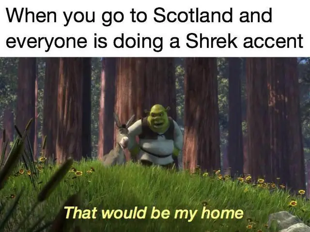 Shrek Meme 9