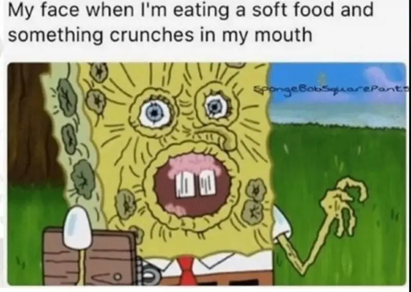 animal my face eating soft food and something crunches my mouth spongebobsiqarepants