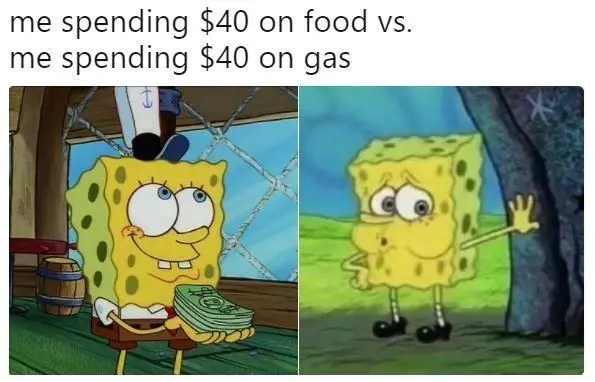 animal spending 40 on food vs spending 40 on gas