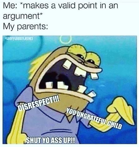 person makes valid point an argument my parents disrespecti ungratefulcild shut yo ass upi
