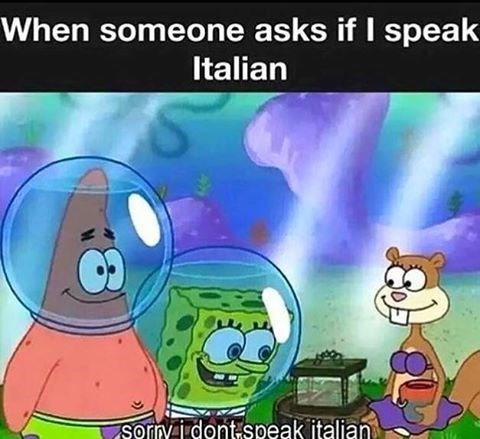 person someone asks if speak italian sorry idont speak italian