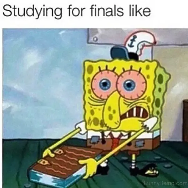 toy studying finals like funnybeingcom