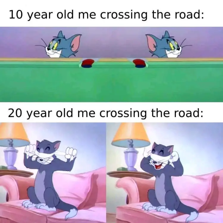 010 tom and jerry crossing the road meme