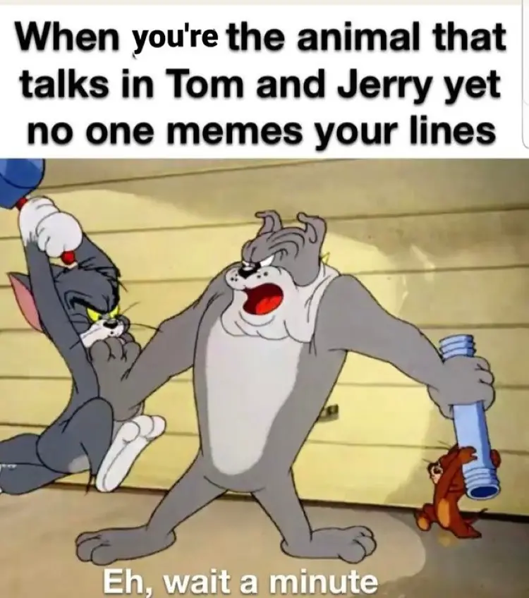029 tom and jerry meme 2