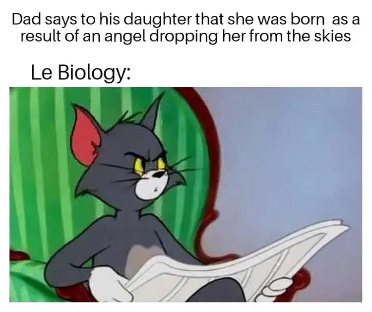 035 tom and jerry meme