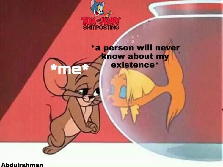 044 tom and jerry meme