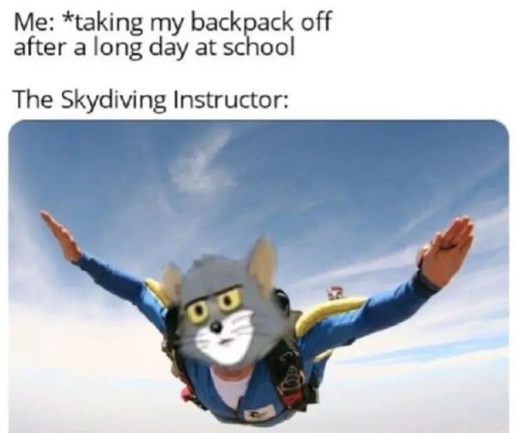 049 tom and jerry sky diving meme