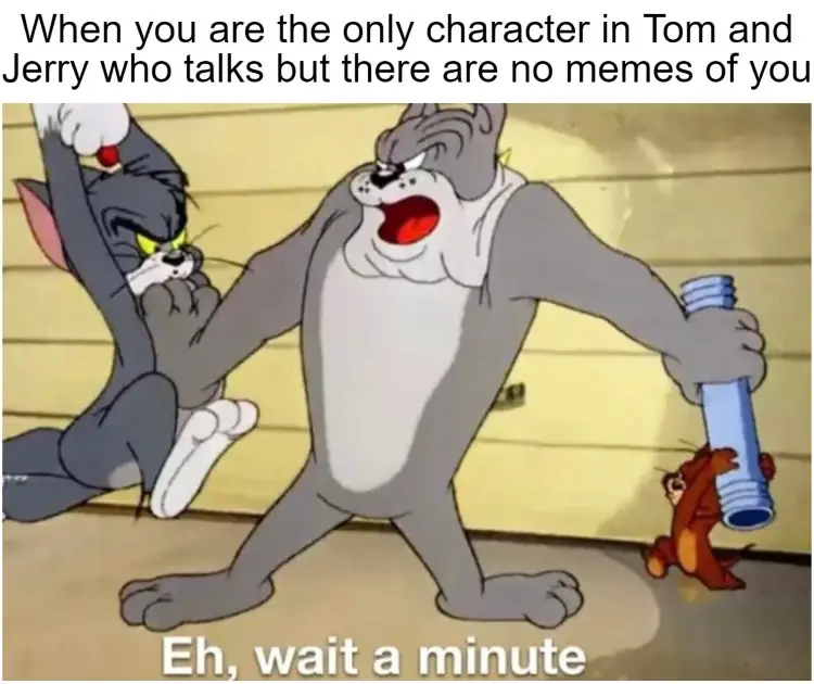 051 tom and jerry meme