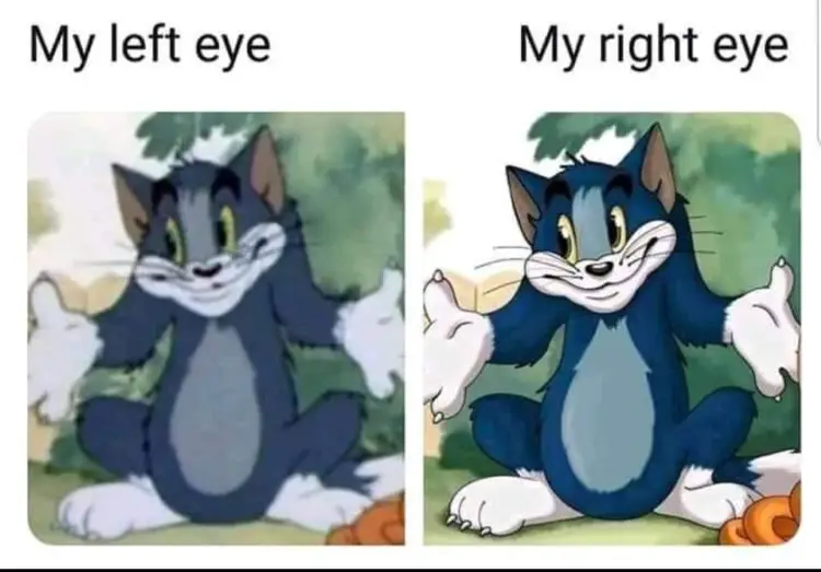 055 tom and jerry blurred eyes meme 1