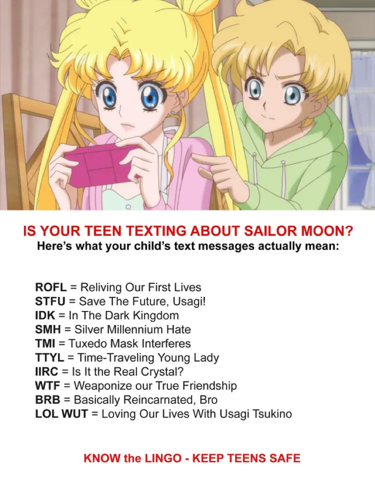 056 sailor moon meme