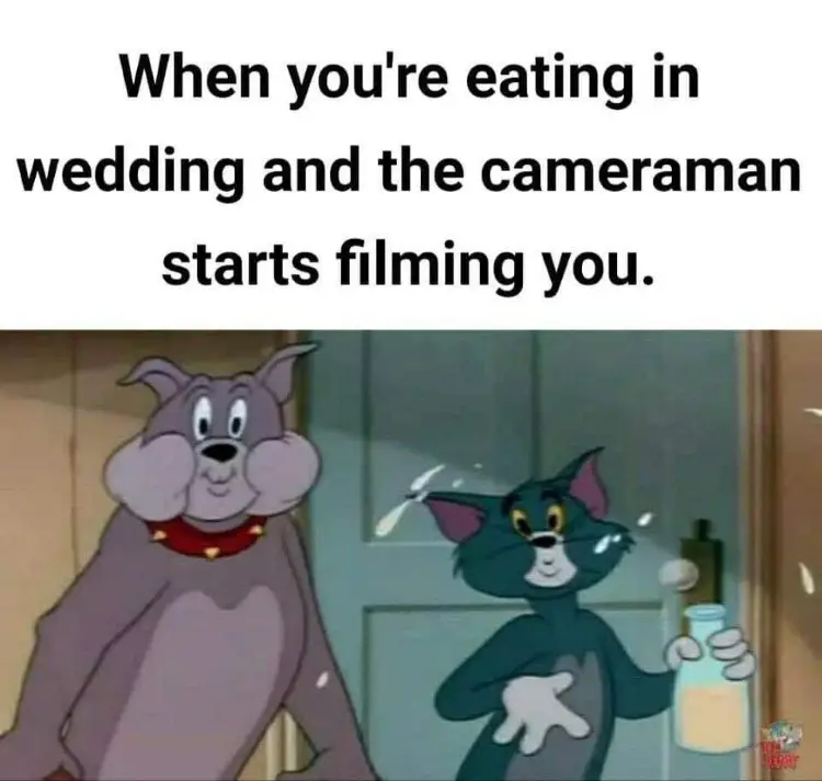 059 tom and jerry eating on wedding meme