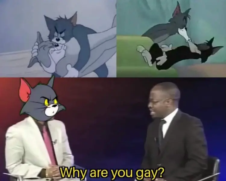 071 tom and jerry gay meme
