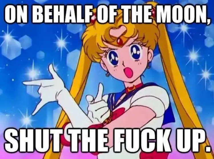 075 sailor moon meme