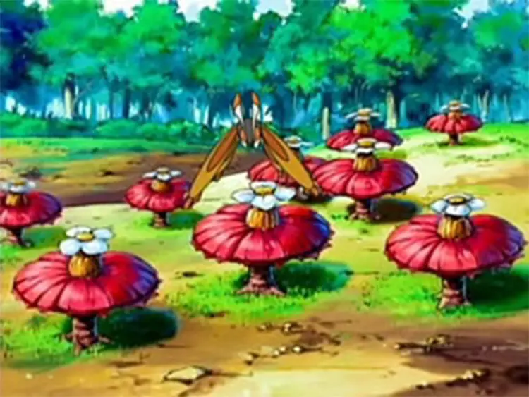09 pomeg flowers berries pokemon anime