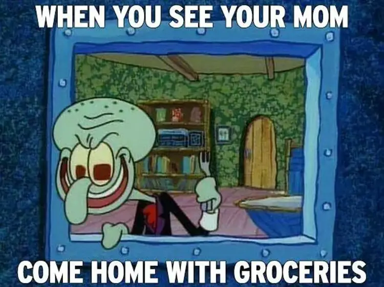104 mom has groceries meme