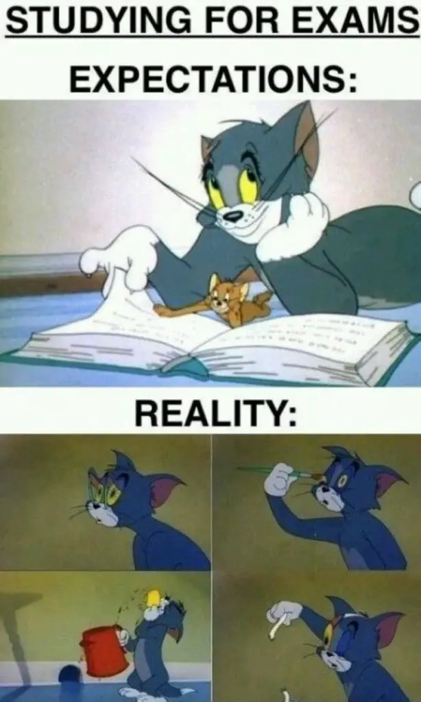 110 tom and jerry studying for exam meme 1
