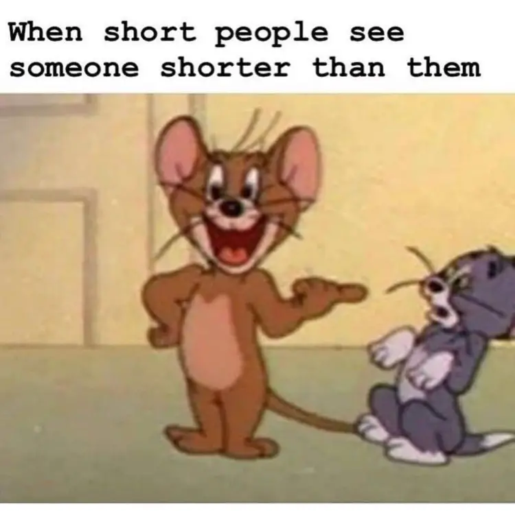 122 tom and jerry short people meme