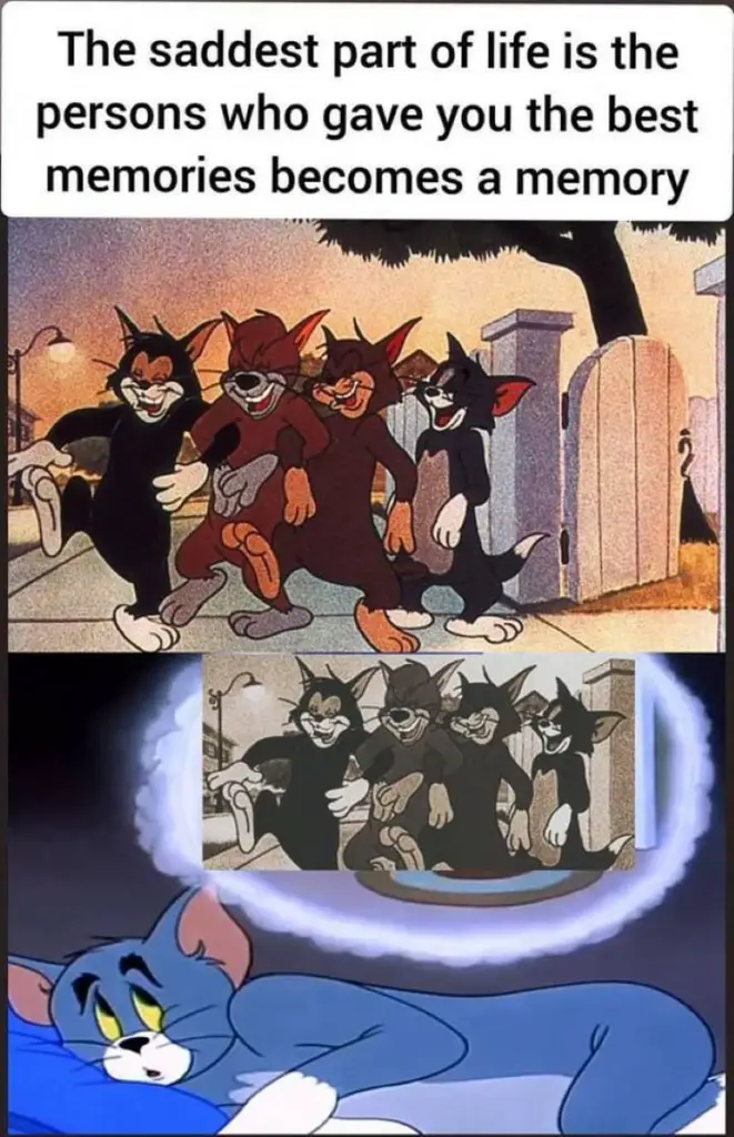 141 tom and jerry meme