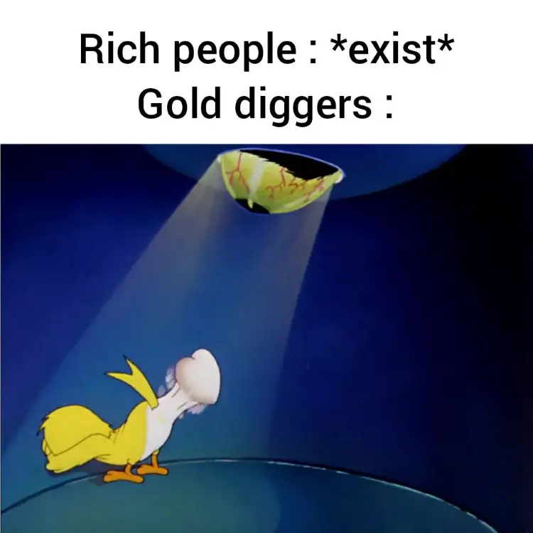 143 tom and jerry gold digger meme 1