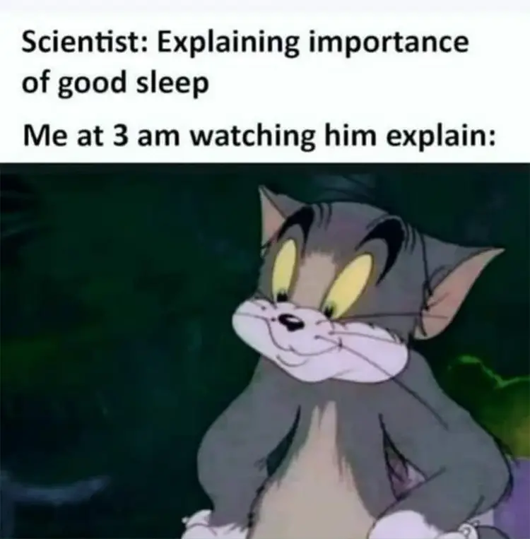 162 tom jerry staying up until 3am sleep meme