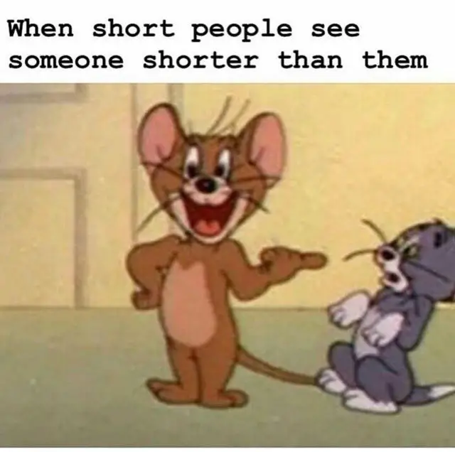 funny meme about tom and jerry short people when they see someone shorter than them 1