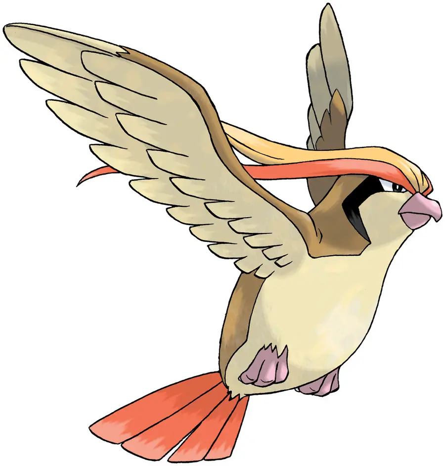 pidgeot 28 Best Flying Type Pokemon