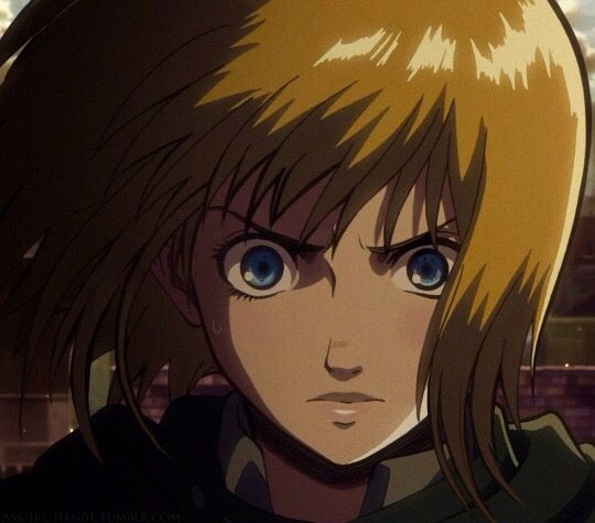  gender of Armin
