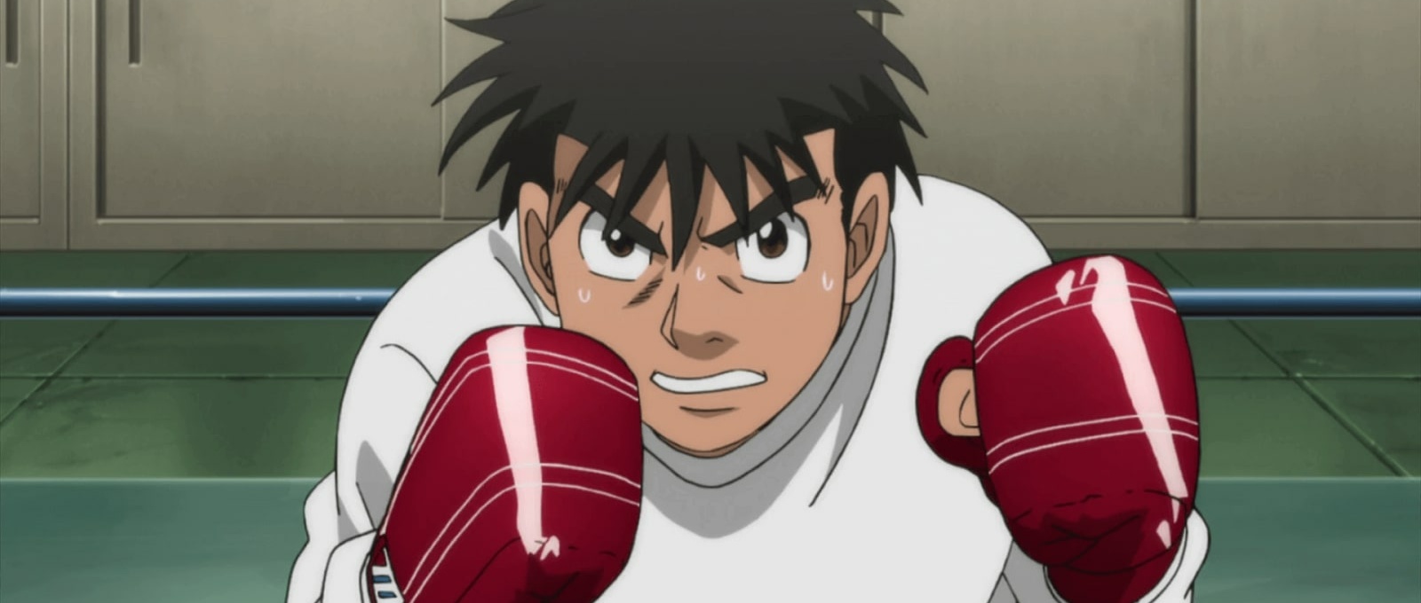 Hajime No Ippo Watch Order Guide My Otaku World