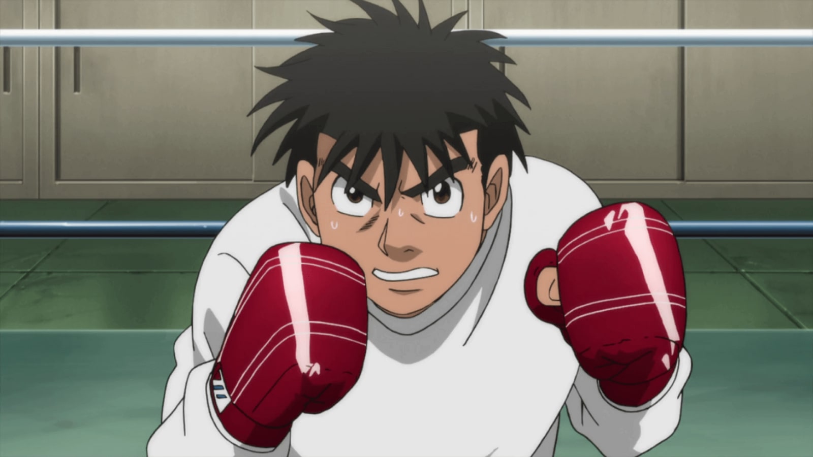 Hajime No Ippo Watch Order Guide My Otaku World   Hajime No Ippo Season 