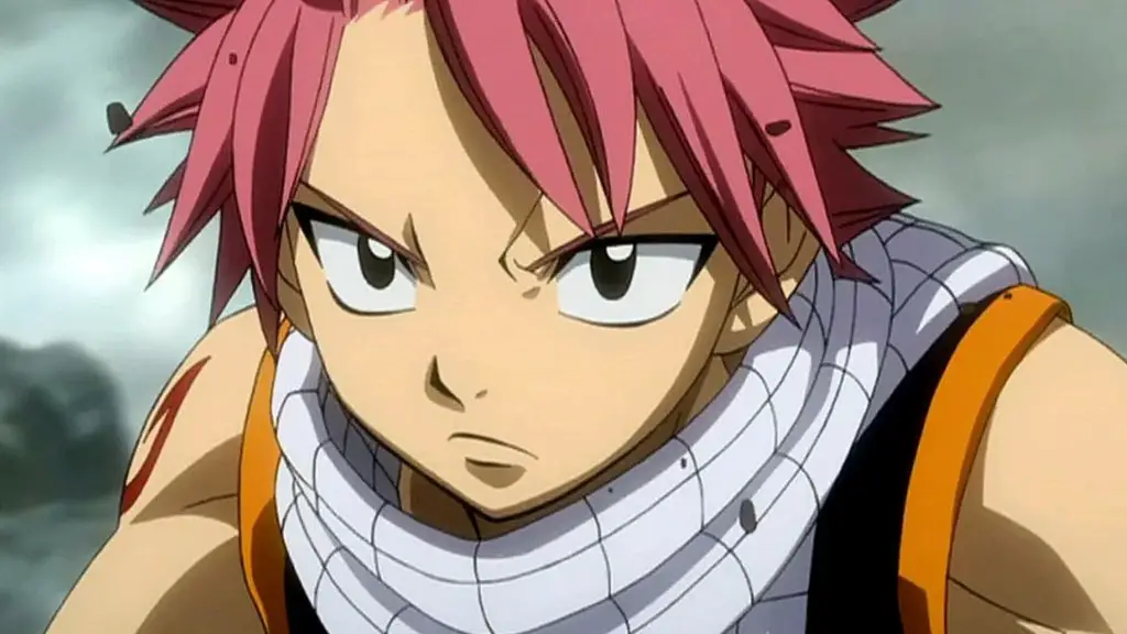Natsu Dragneel From Fairy Tail 1