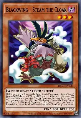 Blackwing Steam the Cloak 1 18 Best Token Creation Cards in Yu-Gi-Oh!