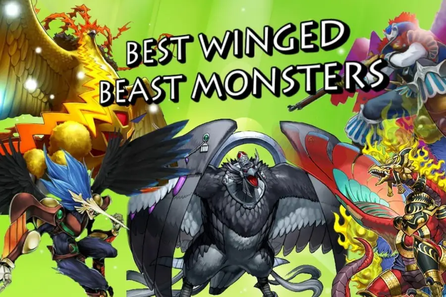 Yugioh Winged Beast Type Monsters 1