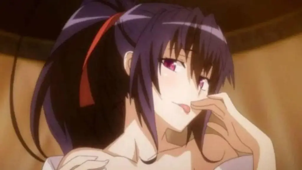 firi12 32 Best Succubus Anime Characters