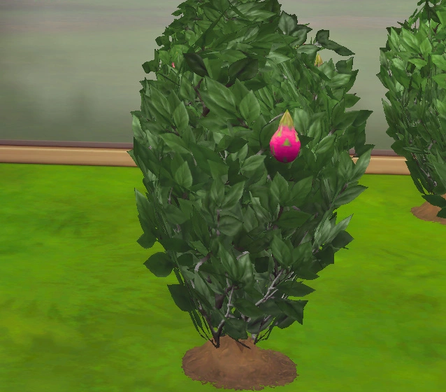 4 fertilizer 10 Best Fertilizer of Sims 4