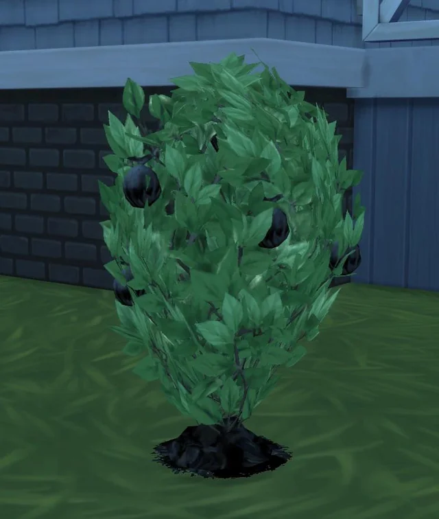 9 fertilizer 10 Best Fertilizer of Sims 4