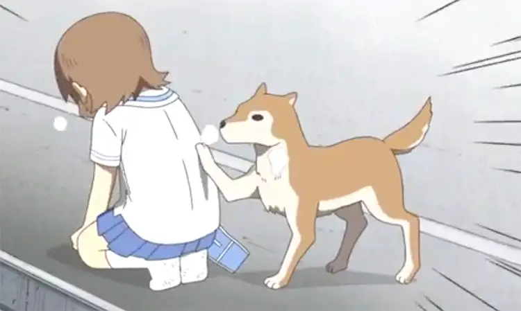 19 buddy nichijou anime 18 Best Anime Dogs