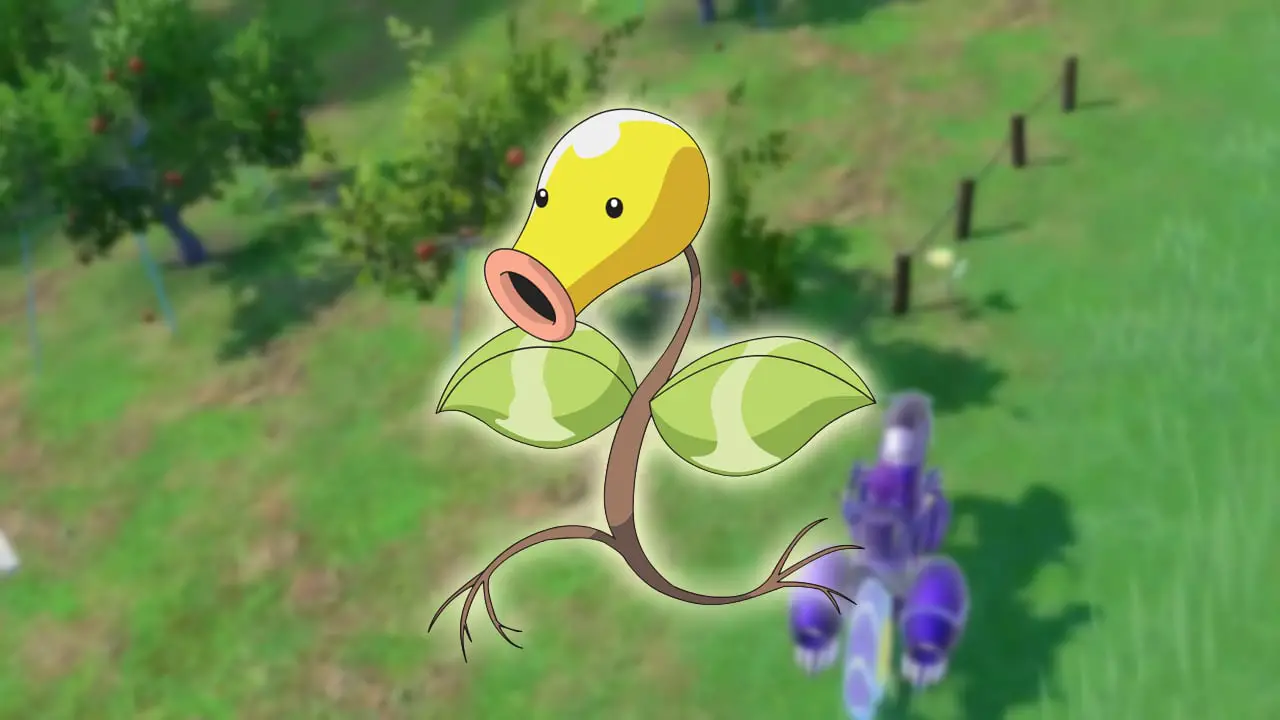 How To Get (& Evolve) Bellsprout in Pokemon Scarlet and Violet The Teal Mask