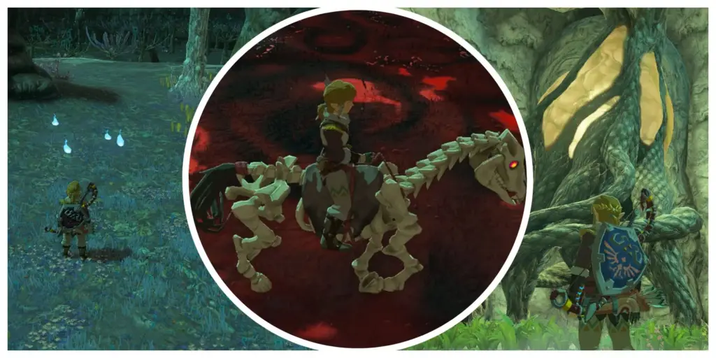 image 197 The Legend Of Zelda: Tears Of The Kingdom - Chasm Locations